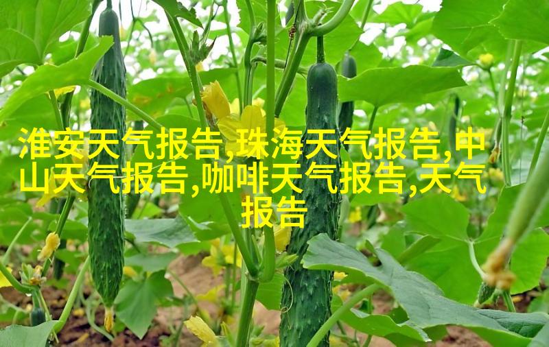 图3: 收获季节